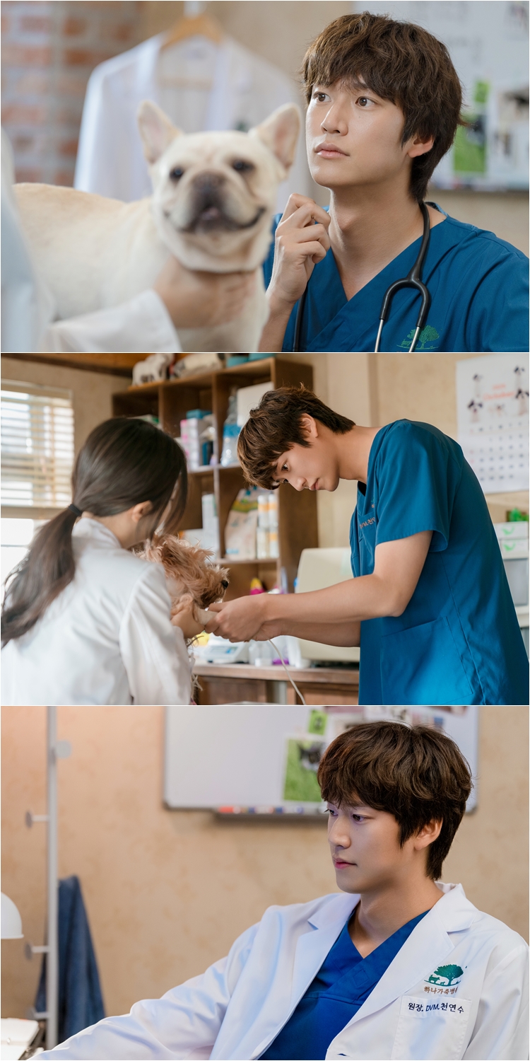 Na In-woo, Evoking First Love Fantasy… “Charming Country Veterinarian”