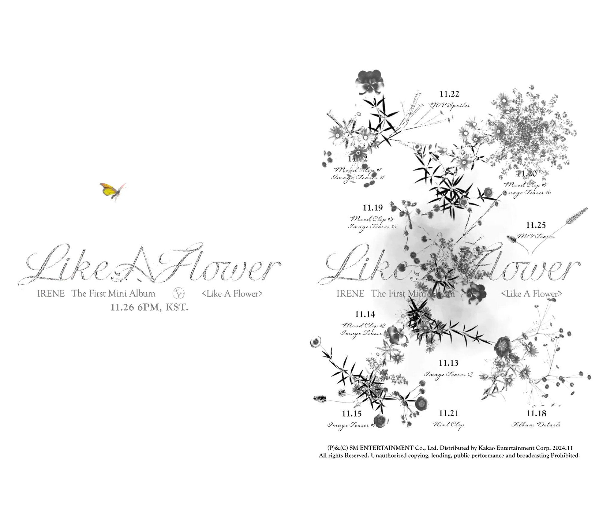 Irene, Solo Countdown…”A Musical World to Bloom Like a Flower”