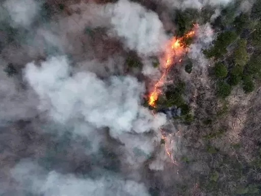 “While Eating Pork Belly with Soju”… Another Major Wildfire Almost Broke Out on the Weekend (26th)