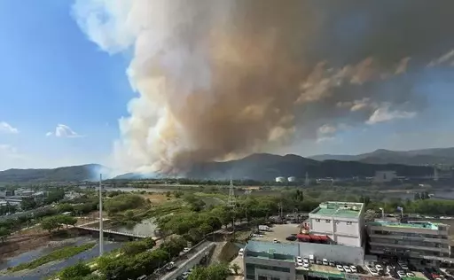 [Breaking News] Fire in Hamjisan, Buk-gu, Daegu… Level 1 Wildfire Alert Issued
