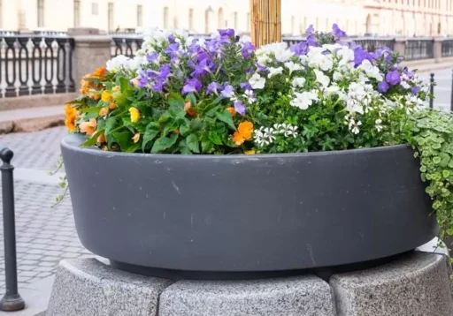 Dad lets child urinate in large flowerpot in front of hotel (video)