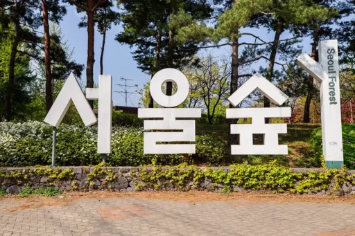 Two Russian Tourists Set Fire to Seoul Forest Park and Fled… Captured After 1 Hour and 30 Minutes