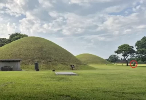 “Is this Korea?”… Foreign tourist shocked to see a man playing golf at Gyeongju Royal Tombs