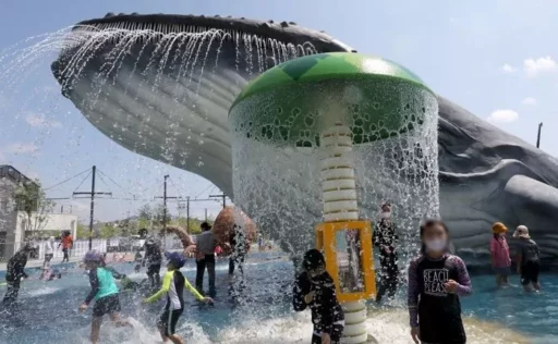 Seoul heatwave warning issued as of noon… perceived temperature exceeds 33 degrees