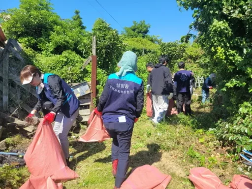 A House Buried in Bushes Where a ‘Snake’ Emerged… After 4 Years of Persuasion, 10 Tons of Waste Were Cleared, and the Door to the Heart Was Opened.