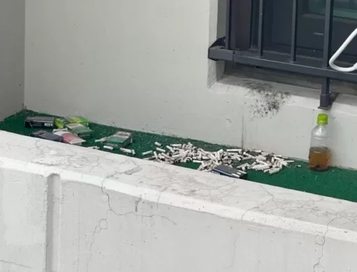 The woman in the lower apartment who smokes indoors and throws cigarette butts on the balcony… “It’s useless to ask her to refrain.”