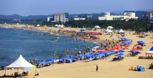 “I’ll place a bulk order for parasols”… Fraud occurred in Yangyang, impersonating ‘this’