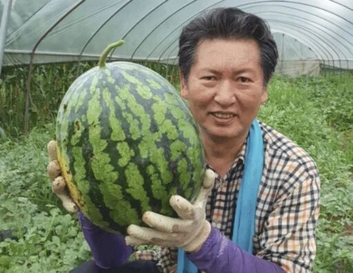 ‘Watermelon Controversy’ Jung Cheong-rae posts picture of a giant watermelon in counterattack… “Why would I do something that difficult?”