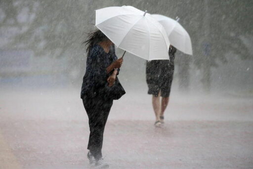 Heavy Rain Causes Train Halt… Korail Suspends Train Operations in Some Areas