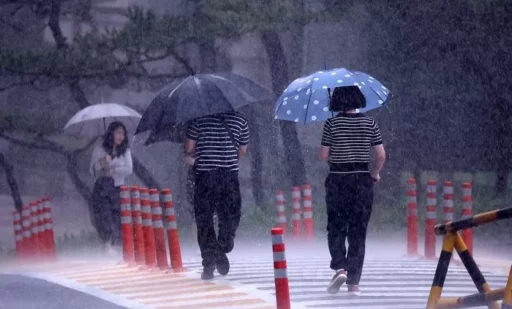 “I have to wear my wet sneakers on the way to work tomorrow… Make sure to bring ‘this’ to dry them quickly without bad odor.”