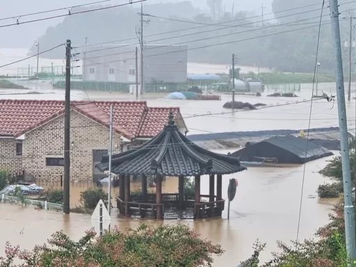 In March, the wildfire victims in Sancheong who couldn’t recover from the disaster are crying again due to heavy rain… On-site video.