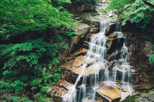 “31 out of 112 fatalities in late July… Water activity accidents ‘peak risk period'”