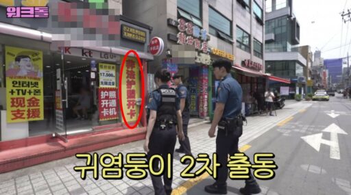 “Work Doll”, illegal agency editing… “Passed on to the relevant police station”
