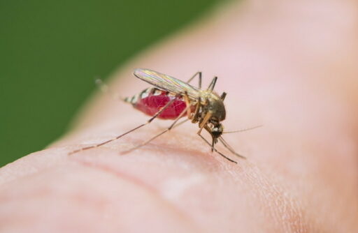 “South Korea Also Reports COVID-19 Cases”… ‘This Disease’ Without a Cure Has Already Infected 5,000 People in Neighboring China