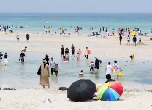 “Traveling Abroad, Why Don’t You Go?”… When We Asked South Korean Office Workers