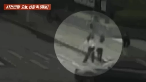 Drunken Woman Assaults Pedestrian Standing on Crosswalk by Pushing into Traffic