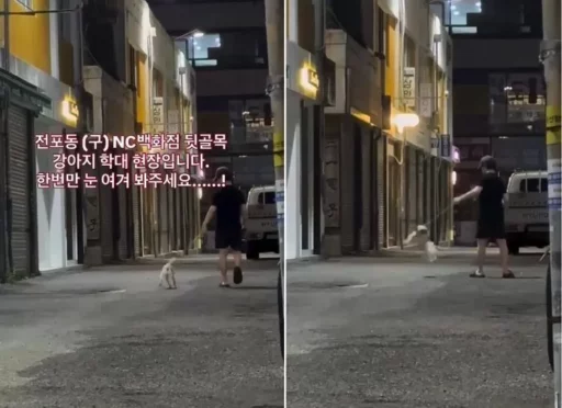 “Please make this dog owner famous: The abuse video posted on Bobae Dream.”