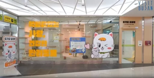 “The sign reads ‘Organic Cat Adoption Zone,’ but… Busan Pet Station spent 40 million won on promotion, is it actually a pet shop street?”