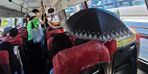 “Is it okay to use an umbrella on the bus?”… A passenger causing inconvenience by using an umbrella in their seat due to the hot sun