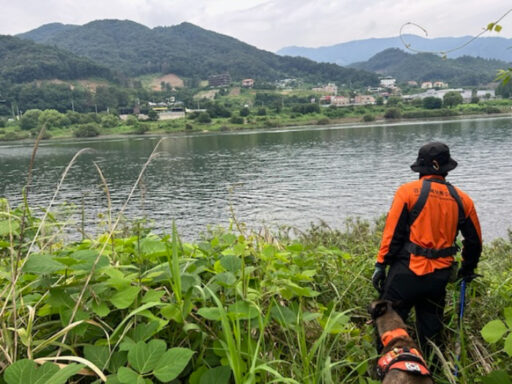 The body found by the Bukhan River in Gapyeong confirmed as the last missing person from the heavy rainfall.