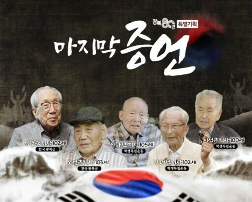 80th Anniversary of Liberation, What’s the Programming for the Three Terrestrial Broadcasters?…Special Broadcasts Capturing History and Spirit