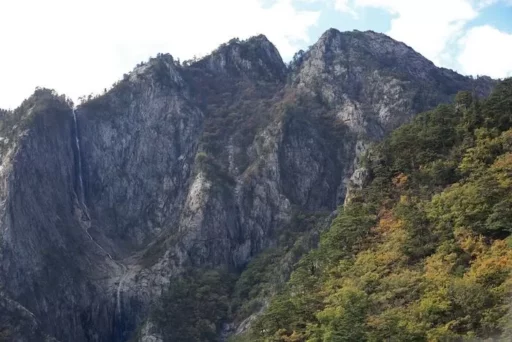 A man in his 50s dies after falling 60 meters while rock climbing at Seoraksan Mountain.