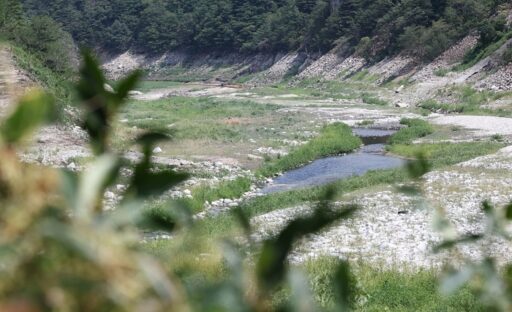 “Cleaning the Bathroom with Wet Wipes”… Gangneung Struggling with Drought, Ultimately Announces ‘This Measure’
