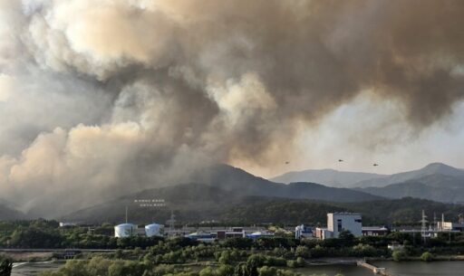 “434 Soccer Fields Burned Down”… Daegu Hamjisan Wildfire Caused by Cigarette Ignition by a Man in his 60s