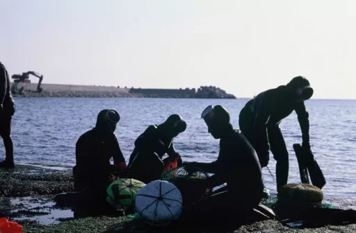 Two Divers Found in Cardiac Arrest in Busan Sea… Heartbreak Grows as Their Relationship Revealed