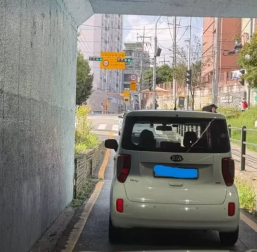 “I Want to Avoid the Sun”… A Driver Waiting in the Shade of an Underpass Long After the Signal Changes
