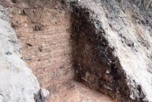 Traces of ‘Baekje Temple’ Found in Buyeo Sangbuk-ri… Burned Roof Tiles and Golden Figurines